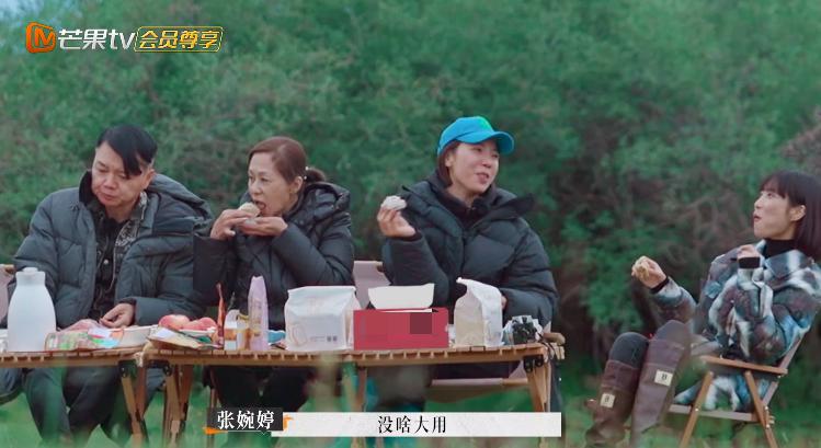 张婉婷宋宁峰最终结果,宋宁峰张婉婷细节分析