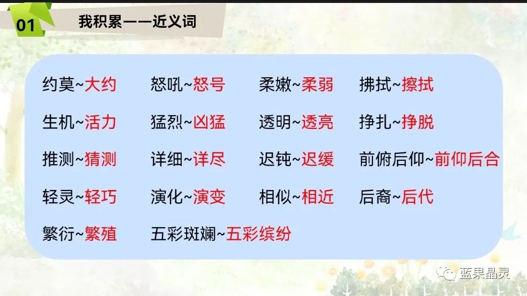 四下语文:第2单元课本内容(复习+练习)