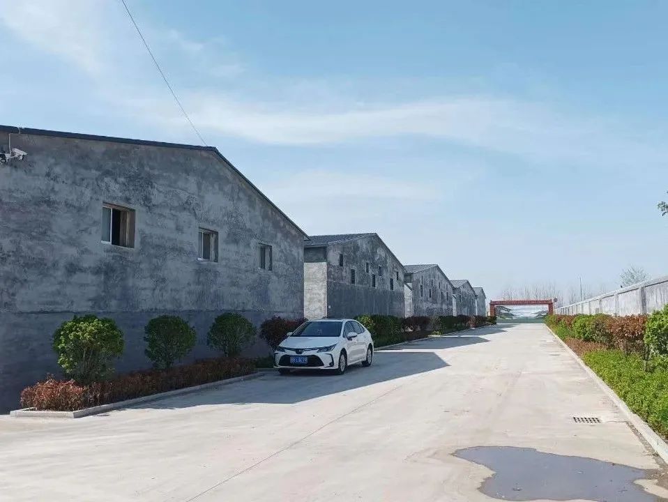 肉鸭养殖乡村振兴,肉鸭养殖与乡村振兴