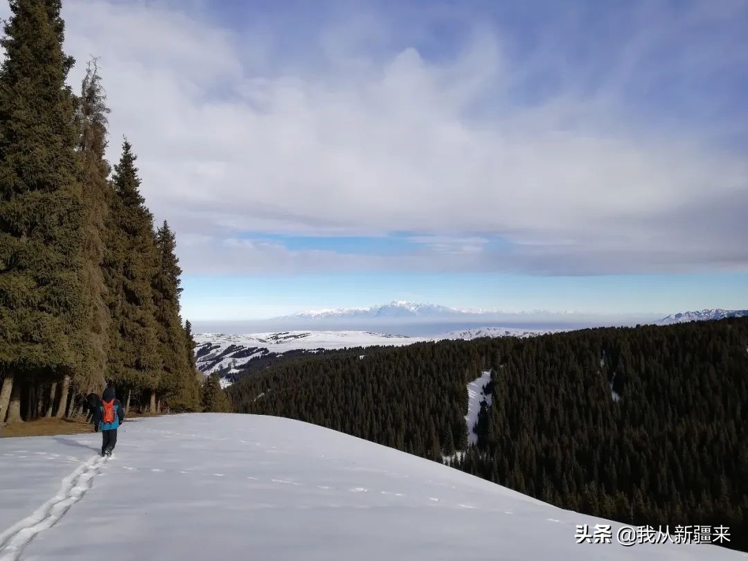 雪后初晴唯美的诗句,古诗词中的绝美冬景
