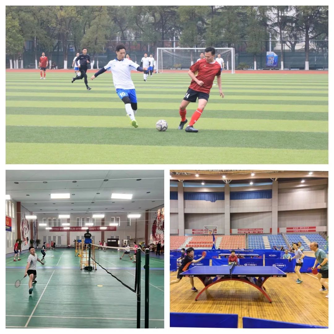 运动赛场彩旗飘,运动健儿赛场上精彩片段