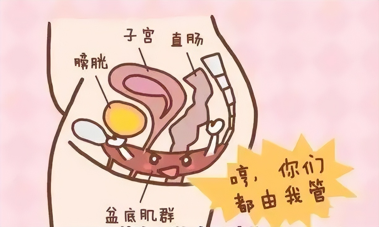 顺产后盆底康复方法,盆底康复凯格尔运动