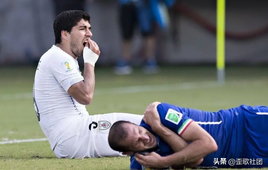 十万个冷知识全套4册,2022世界杯冷知识