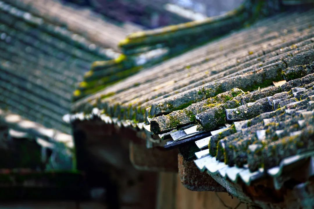 广州最值得去的古镇,适合周末打卡的广州绝美古镇