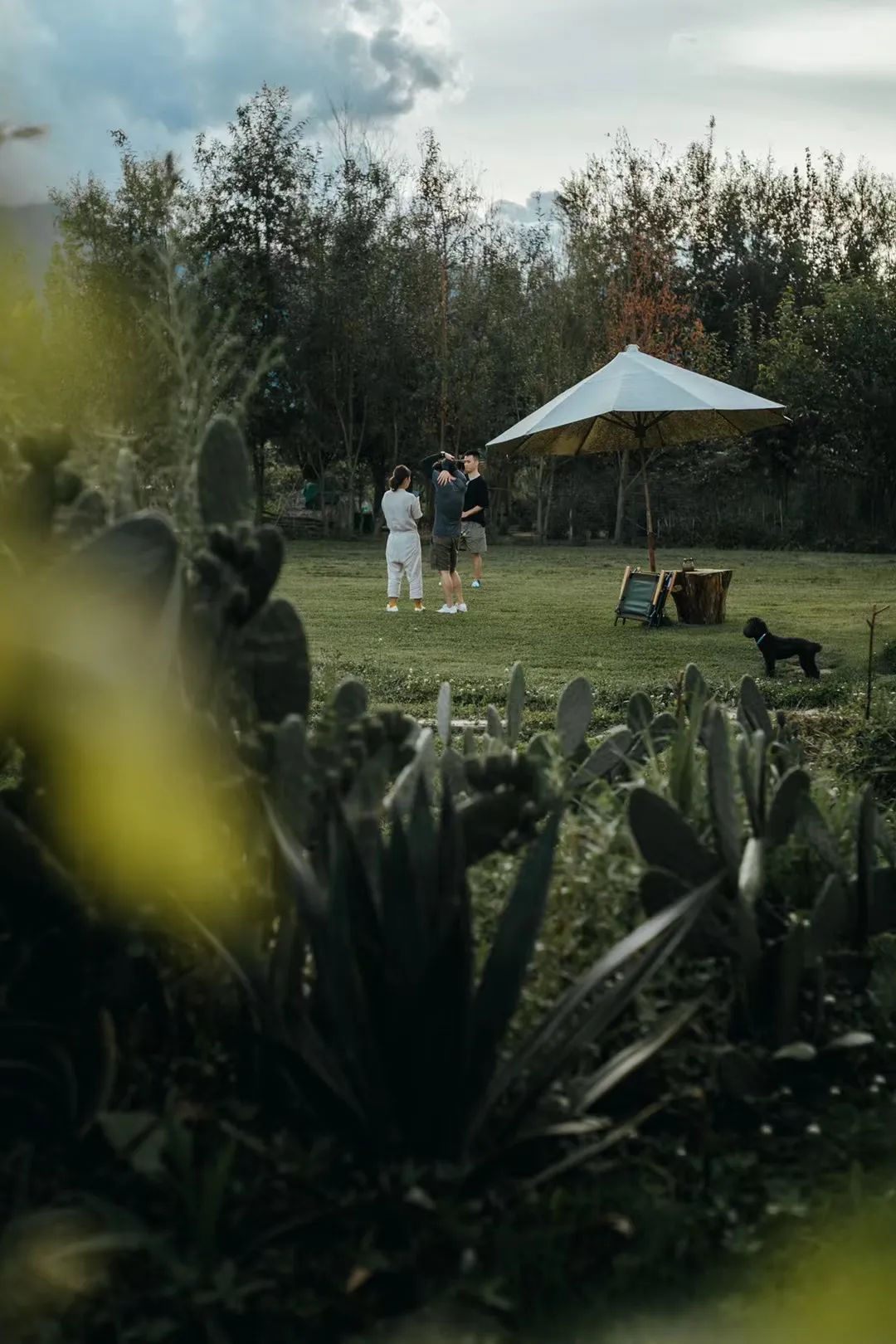 大理游玩攻略3天2晚,大理环海一日游攻略12点出发