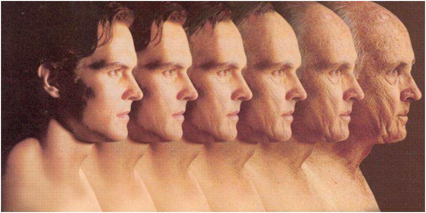 2024年老龄化社会的商机在哪里,人口老龄化给企业带来了什么商机