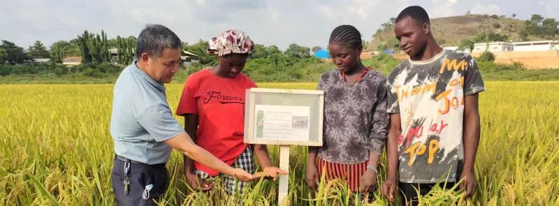 比尔盖茨谈人工智能它将加速创新,比尔盖茨对企业创新的态度