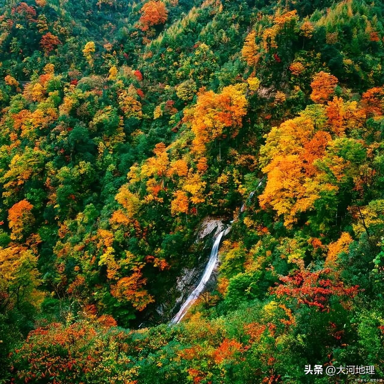 旅游攻略国内十大必去景点南方,中国南方著名景点