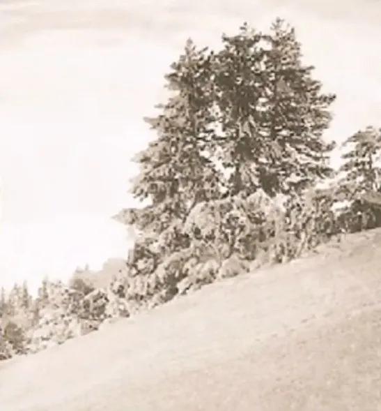 人间的饭吃一碗少一碗是谁说的,感悟人间的饭吃一碗少一碗