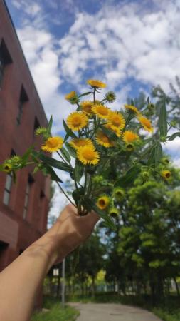 “光阴的故事”之十天津高新区：打造充满活力的幸福之城