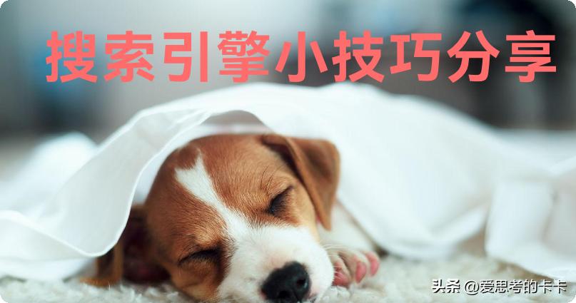 搜索引擎使用技巧视频,使用搜索引擎方法小技巧