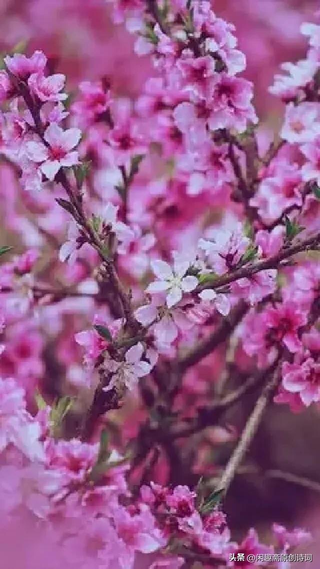 七律叹人生平水韵,七律平水一韵的诗