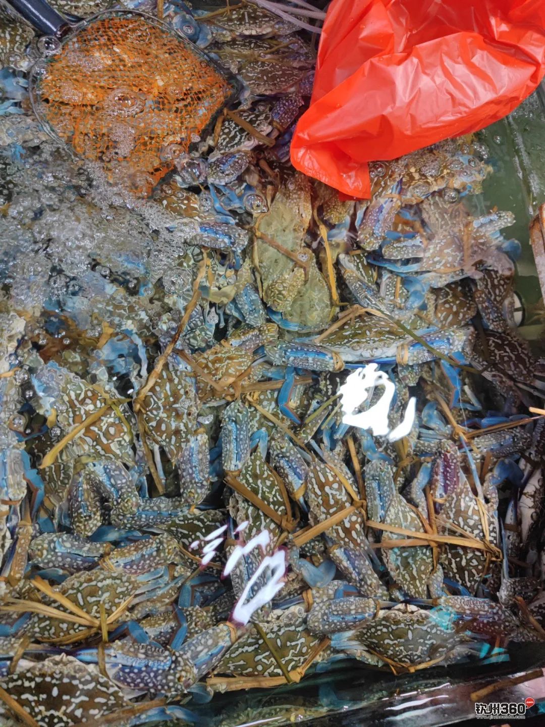 实现了海鲜的自由,在钦州能实现海鲜自由吗