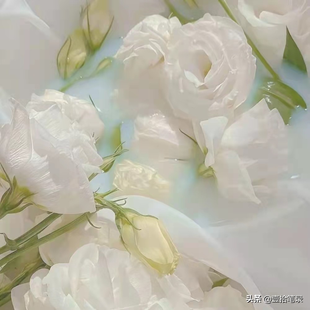 分手后忍不住想联系女朋友怎么办,分手了忍不住联系前男友怎么办