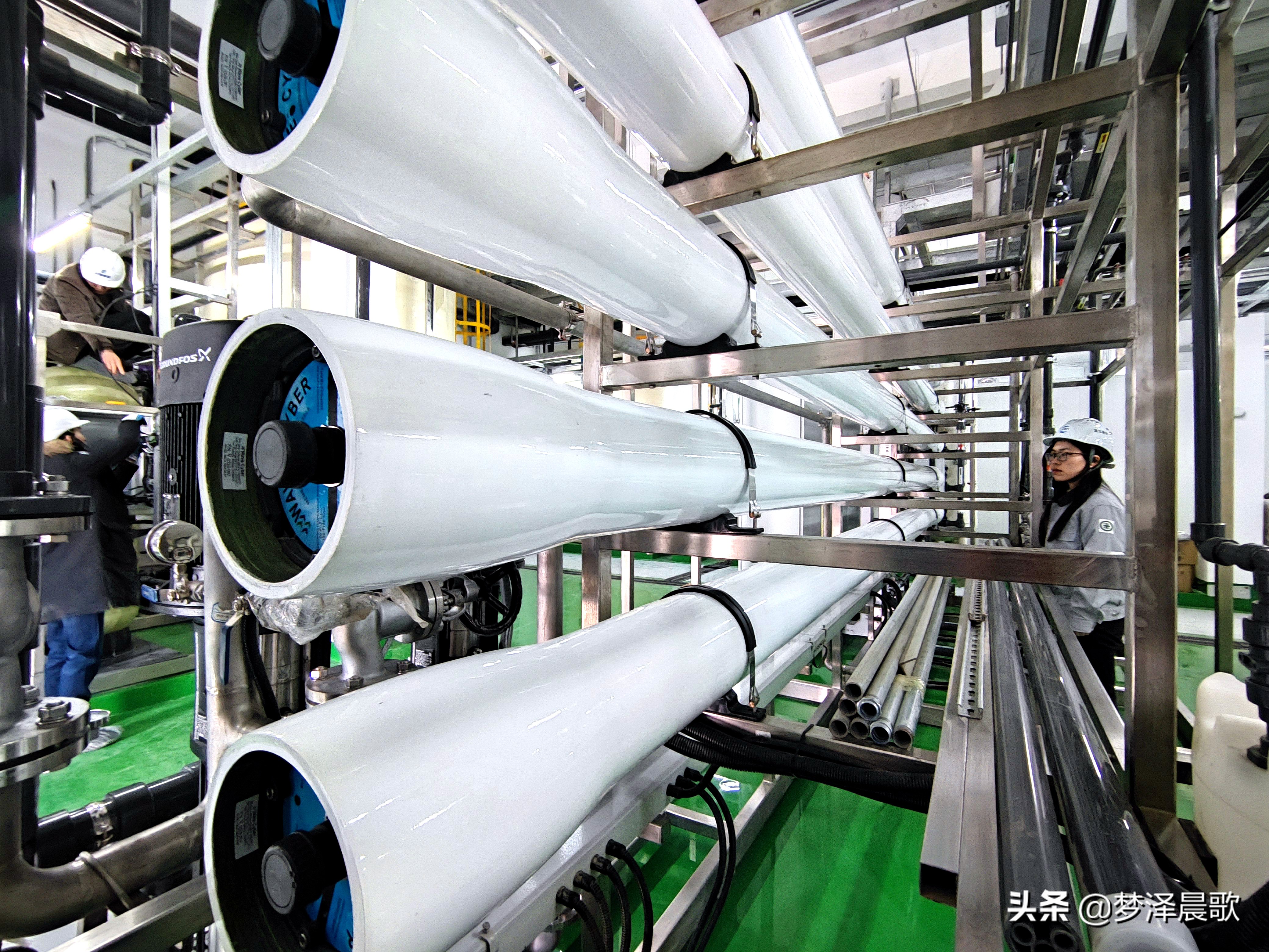 添虎劲,虎年企业复工复产新闻稿