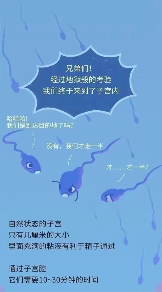 绮惧瓙杩涘叆浜轰綋24灏忔椂鍙樺寲,绮惧瓙杩涘叆浜轰綋1灏忔椂鍙樺寲