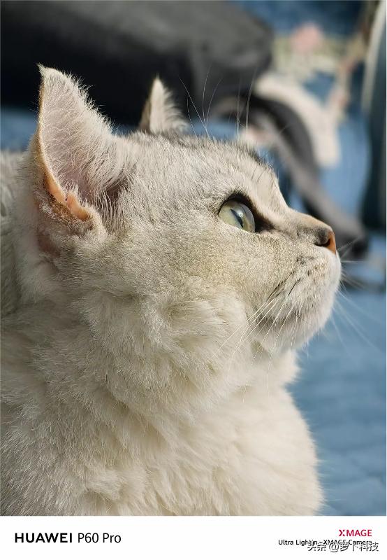 手机影像排行华为p60pro,华为p60pro曝光影像实现巨大突破
