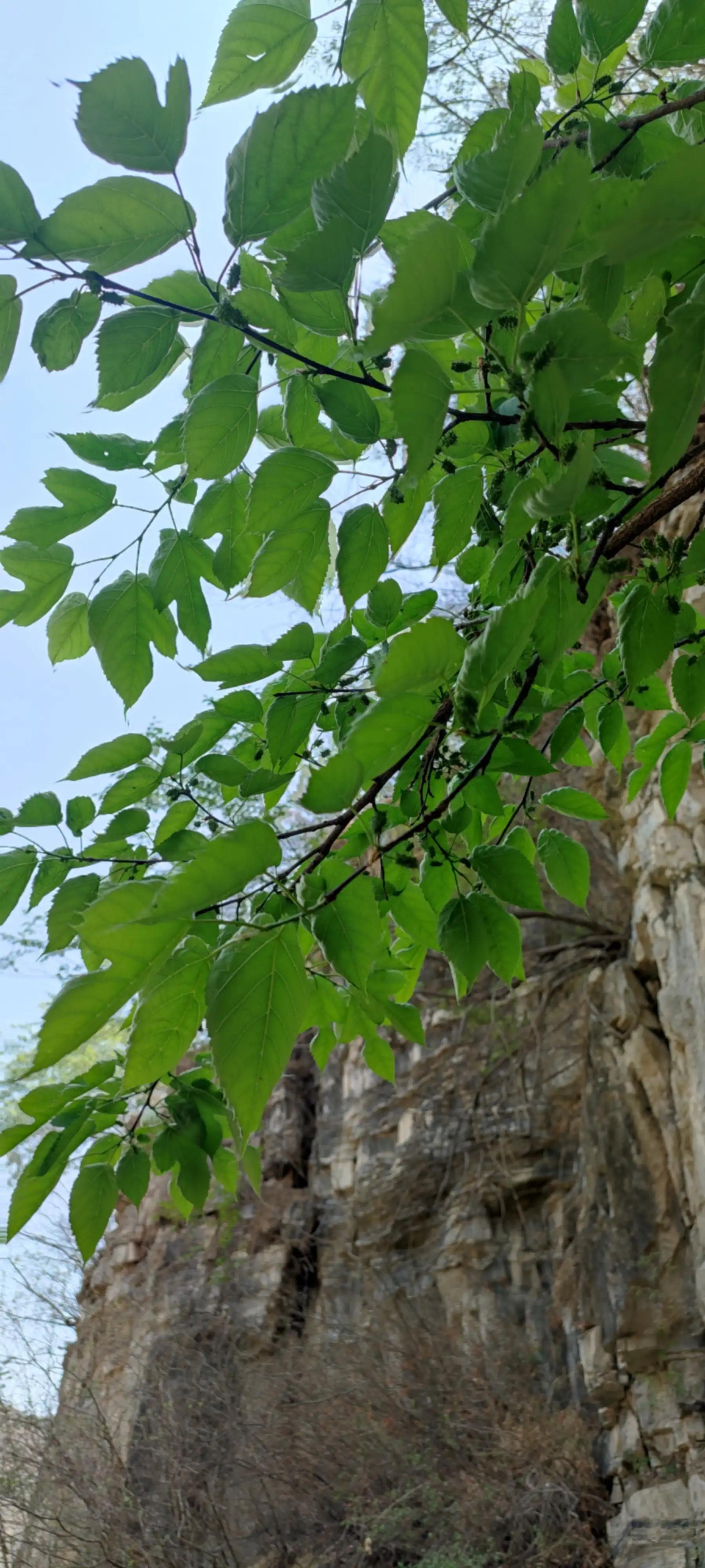 十渡一日游游玩攻略,十渡一日游旅行社