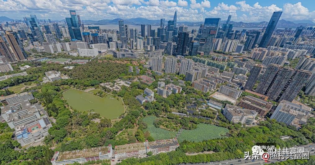 深圳湖景房哪家强?(南山篇)