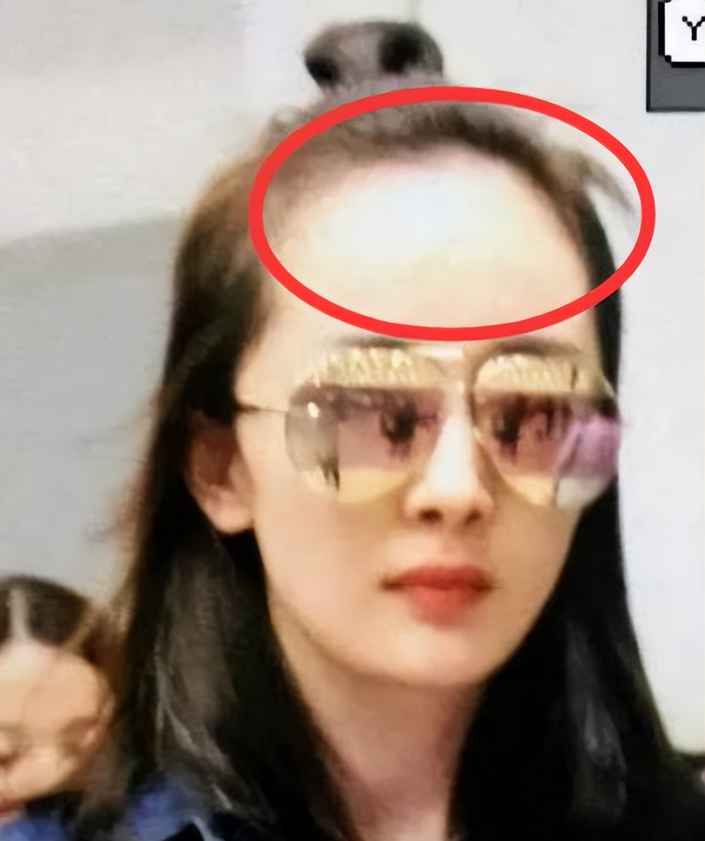 杨幂杨紫鞠婧祎,鞠婧祎杨幂杨紫的照片