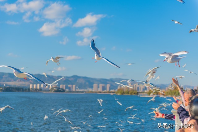 云南必去的4个景点,云南网红打卡景点