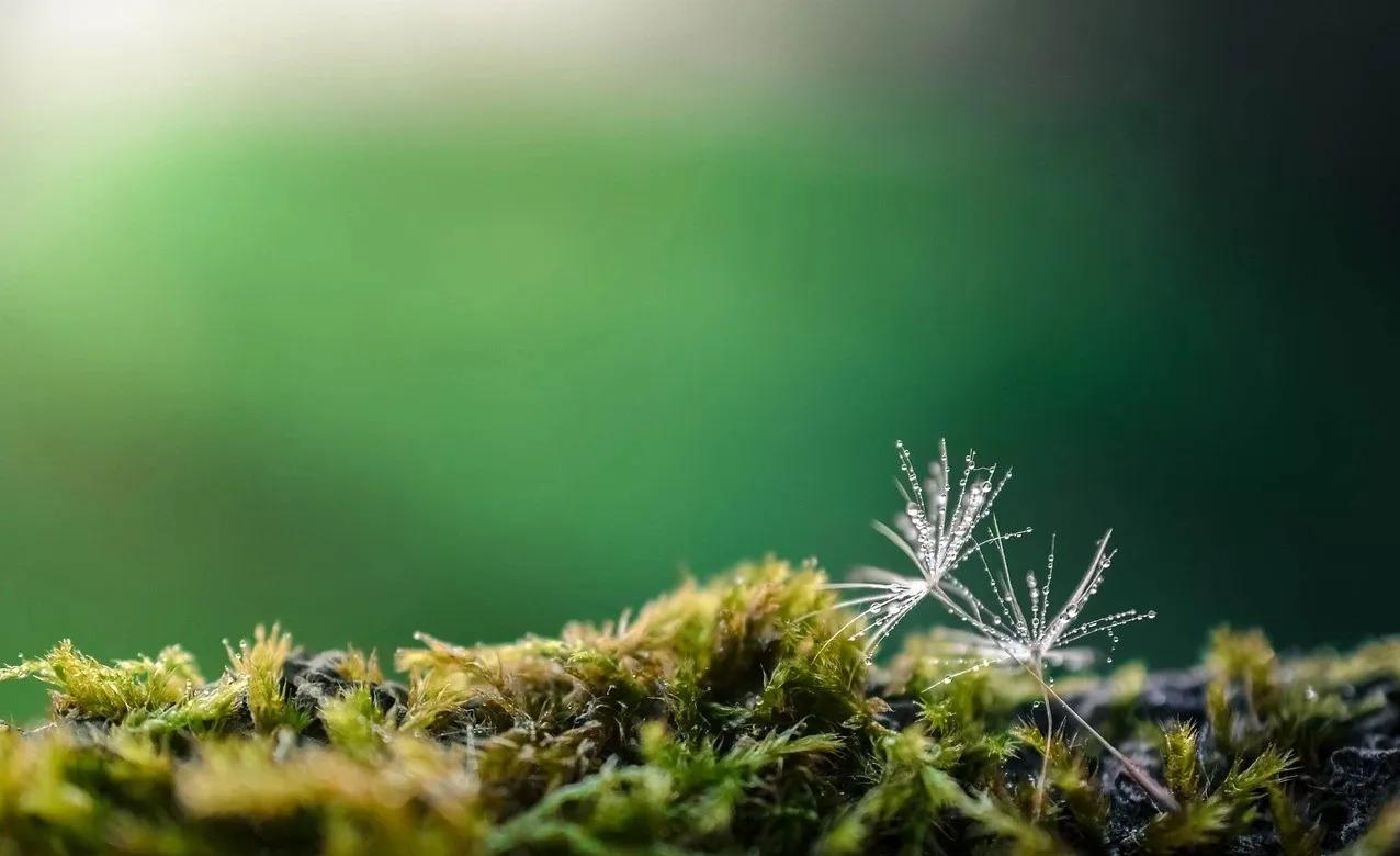 人生万事只有半称心,人生短暂不如万事付之一笑