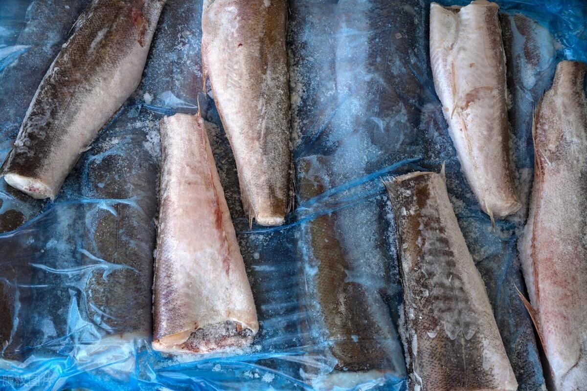 上海冻鳕鱼进口报关时效,进口冷冻鱼清关流程