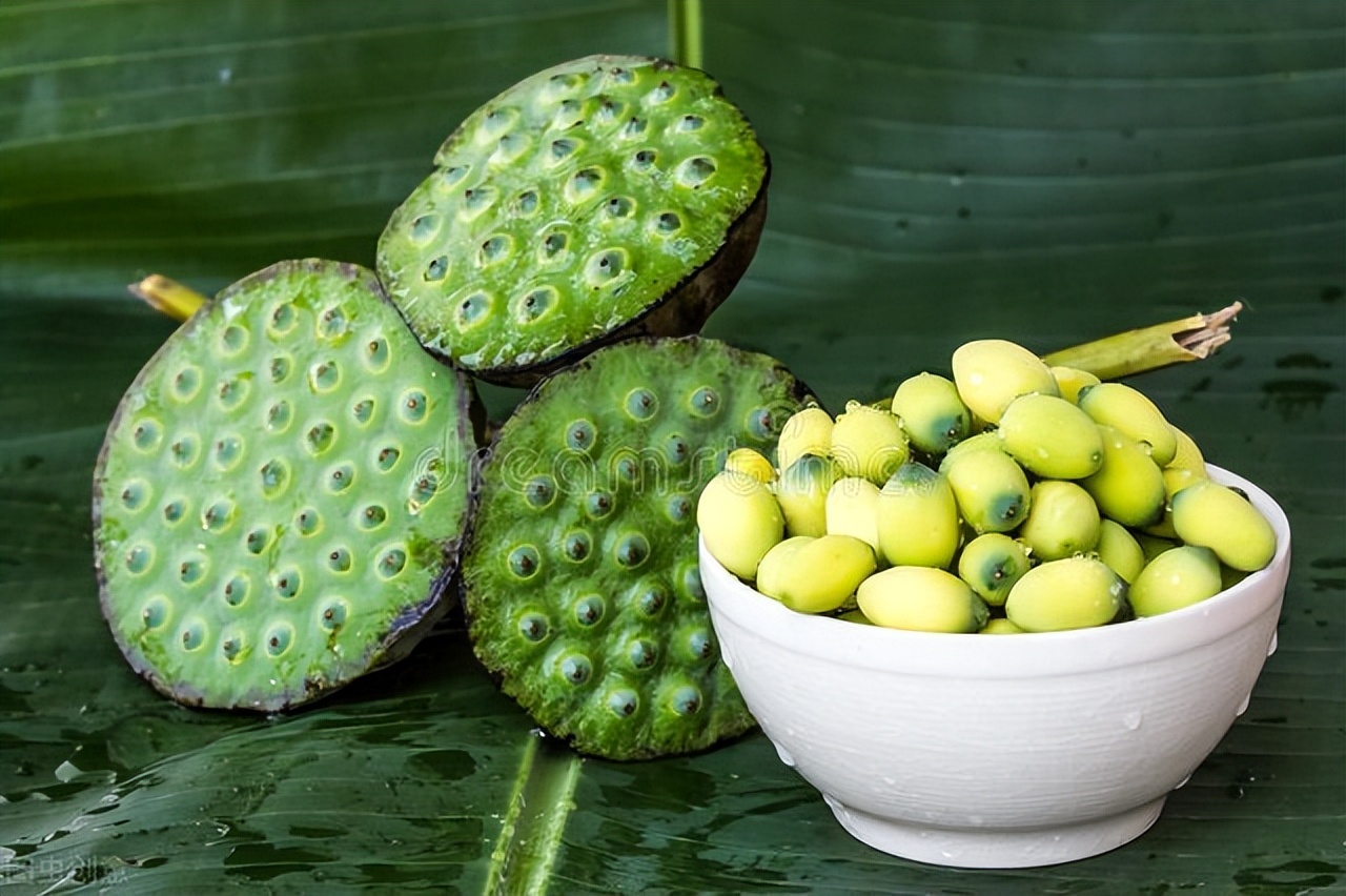 立秋养心养肺小贴士,立秋养生请注意养肺宜润勿燥