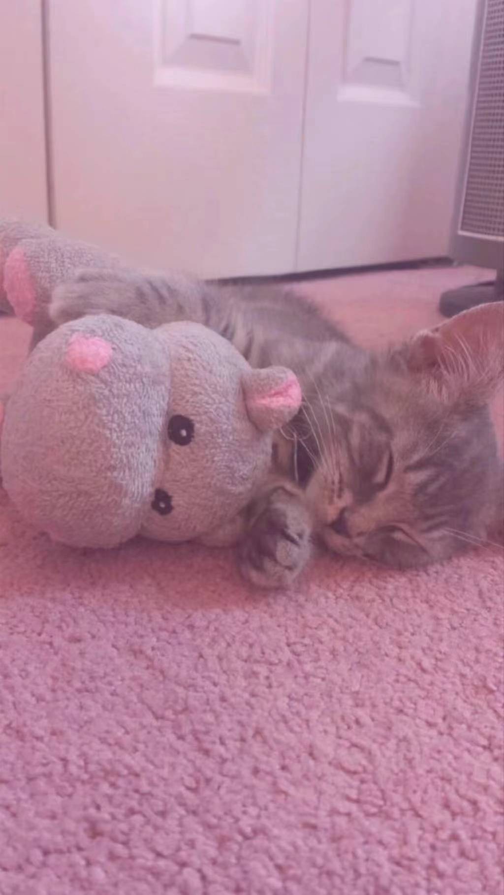 有哪些好看的微信聊天背景图？