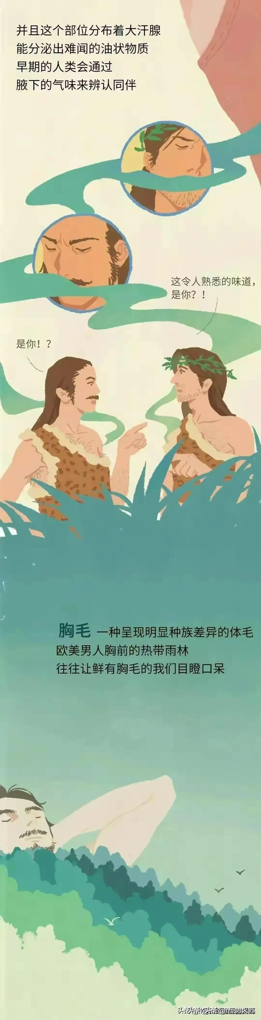 人类为何没有浓密的体毛,人类的体毛作用