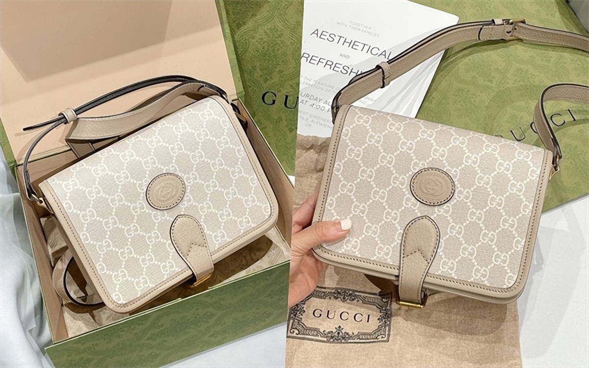 香奈儿19号跟lv邮差包哪个合适,lv2023新款邮差包值不值得买