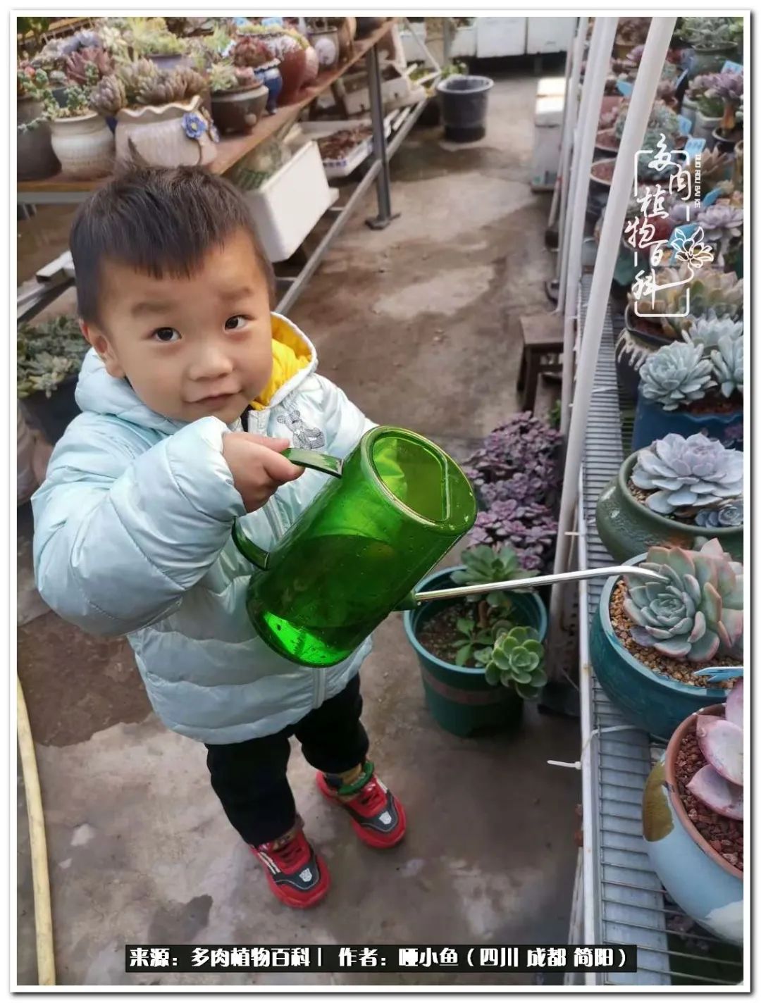 看世间繁华品一生,看世间繁华品人生美味