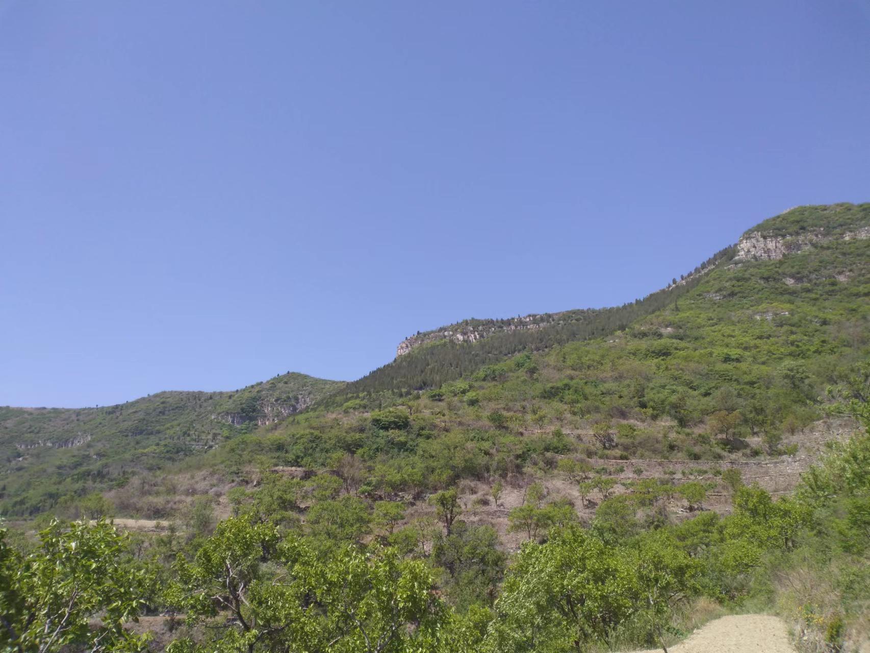 临朐自然美,临朐新美丽