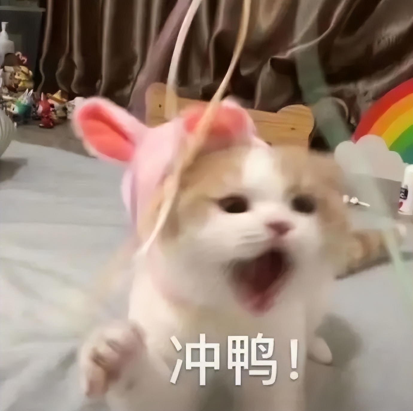 155微胖小个子连衣裙500多的,155微胖女生连衣裙2件套小碎花