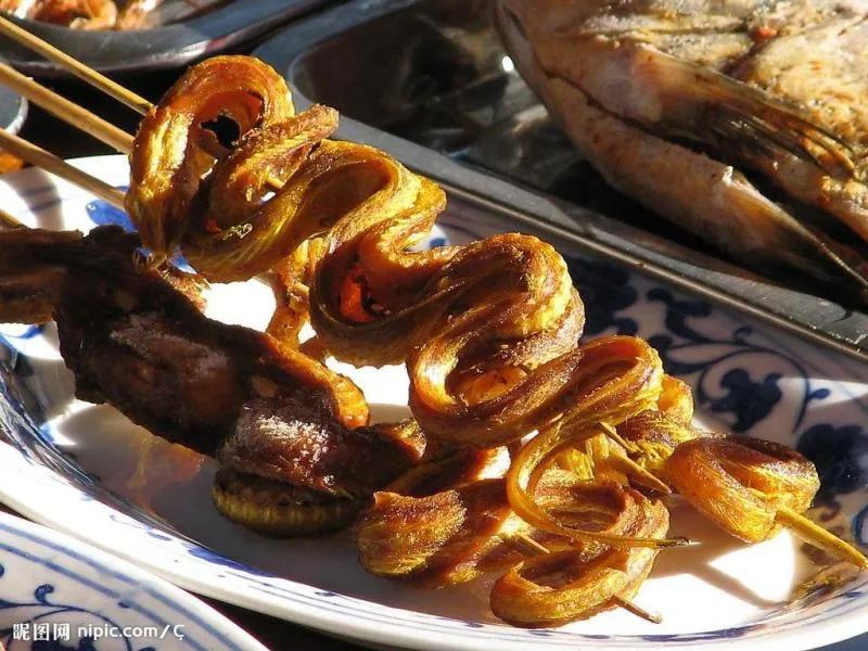 世界十大毒物动物,世界十大毒物排行榜的视频