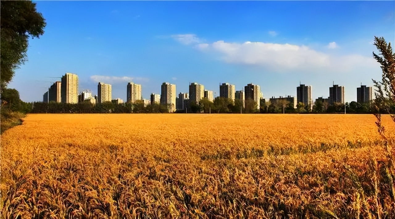 农民丰收节,玉田农民丰收节