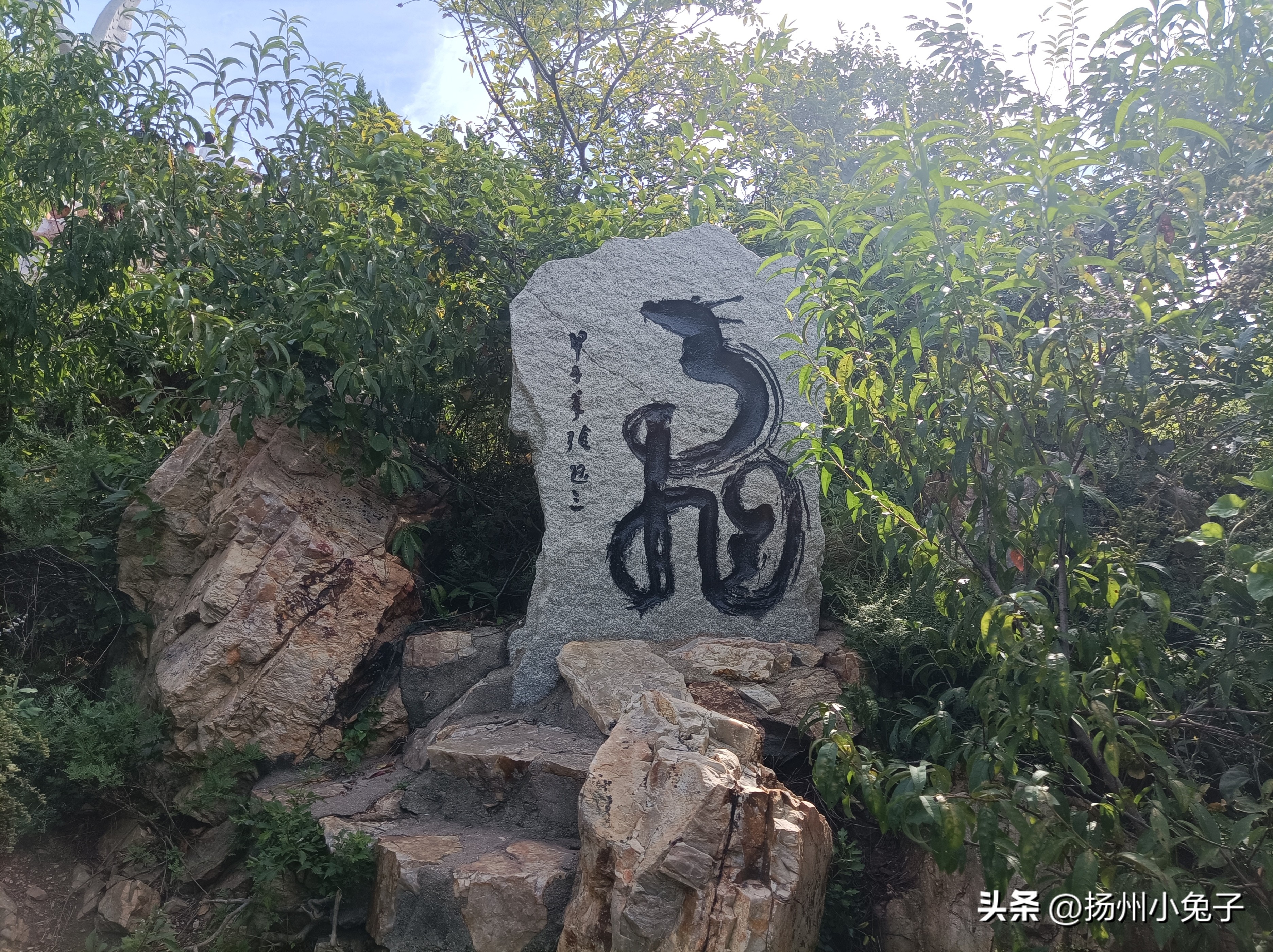 长岛森林公园,长岛林海烽山森林公园