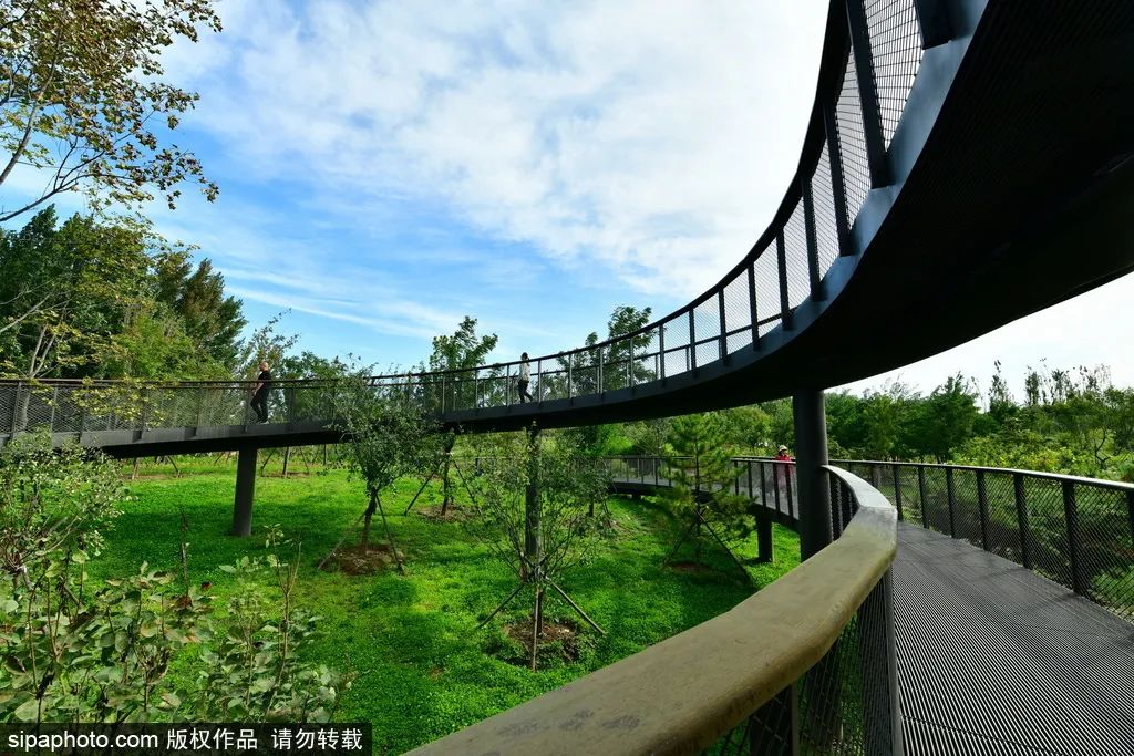 北京周末公园推荐,夏季北京公园好去处