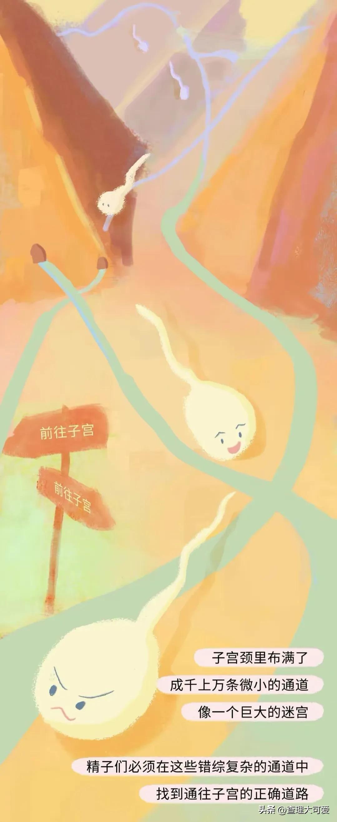 小蝌蚪找妈妈故事完整漫画,小蝌蚪漫画