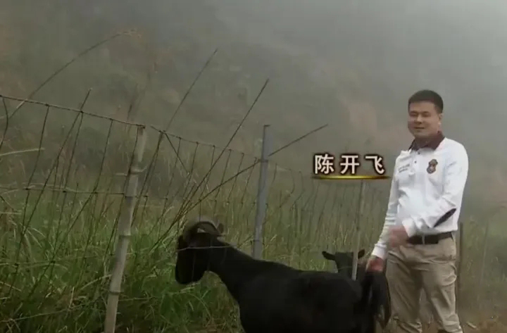 硕士回村做养殖一年净赚10万元,养山羊一年赚40万