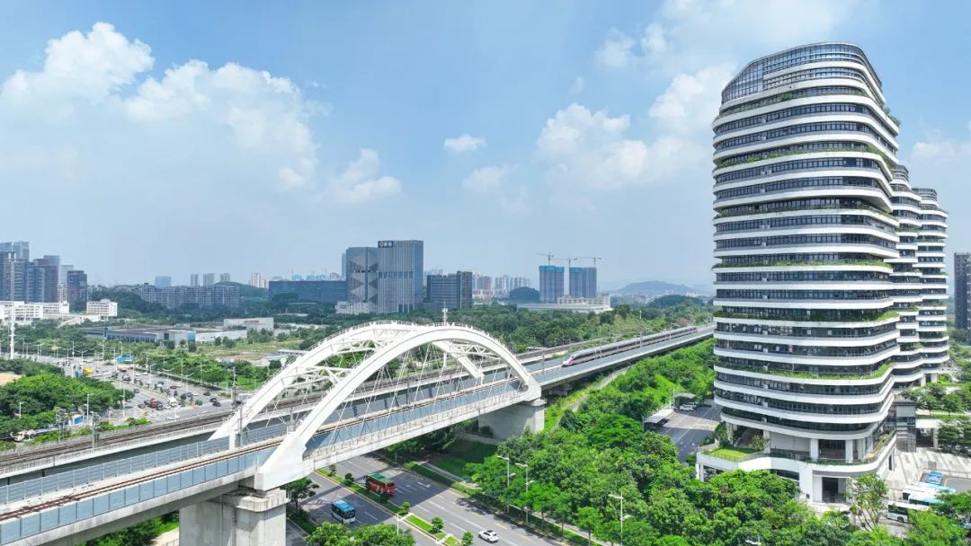 锚定高质量发展读懂两会新期待,锚定高质量发展奋楫争先绘蓝图