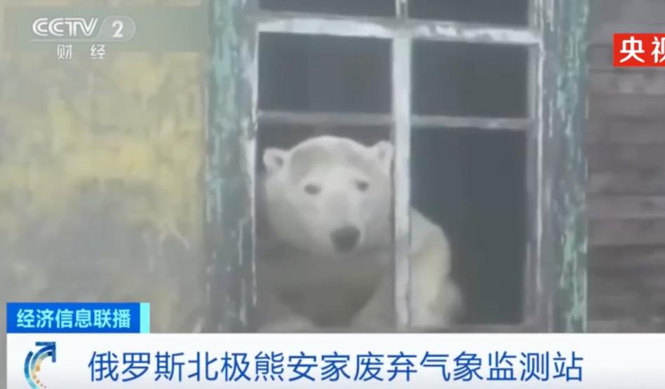 极端高温,灾难的开始…该如何拯救