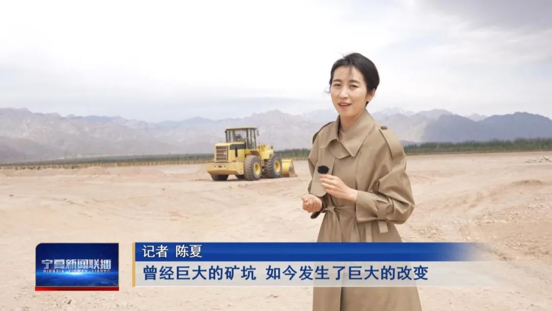 中国葡萄酒惊艳世界,中国葡萄酒震惊世界