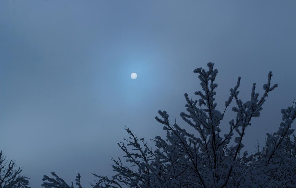 明月如霜好风如水清景无限赏析,明月如霜好风如水清景无限出处