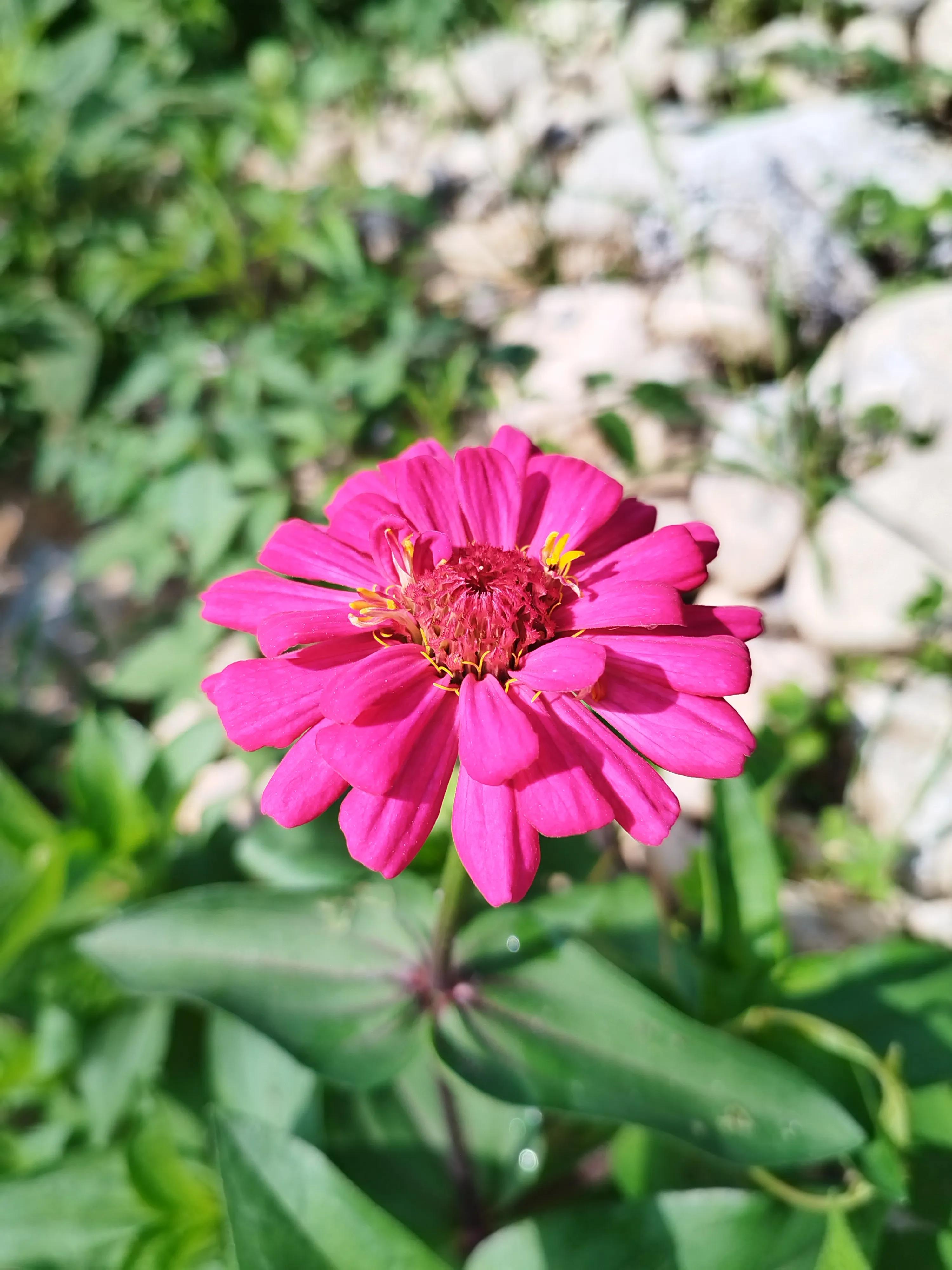 回娘家买什么礼物端午节,端午回娘家送什么