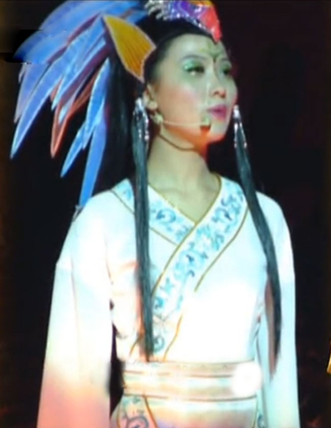 姚贝娜春晚现场,姚贝娜有哪三次上春晚