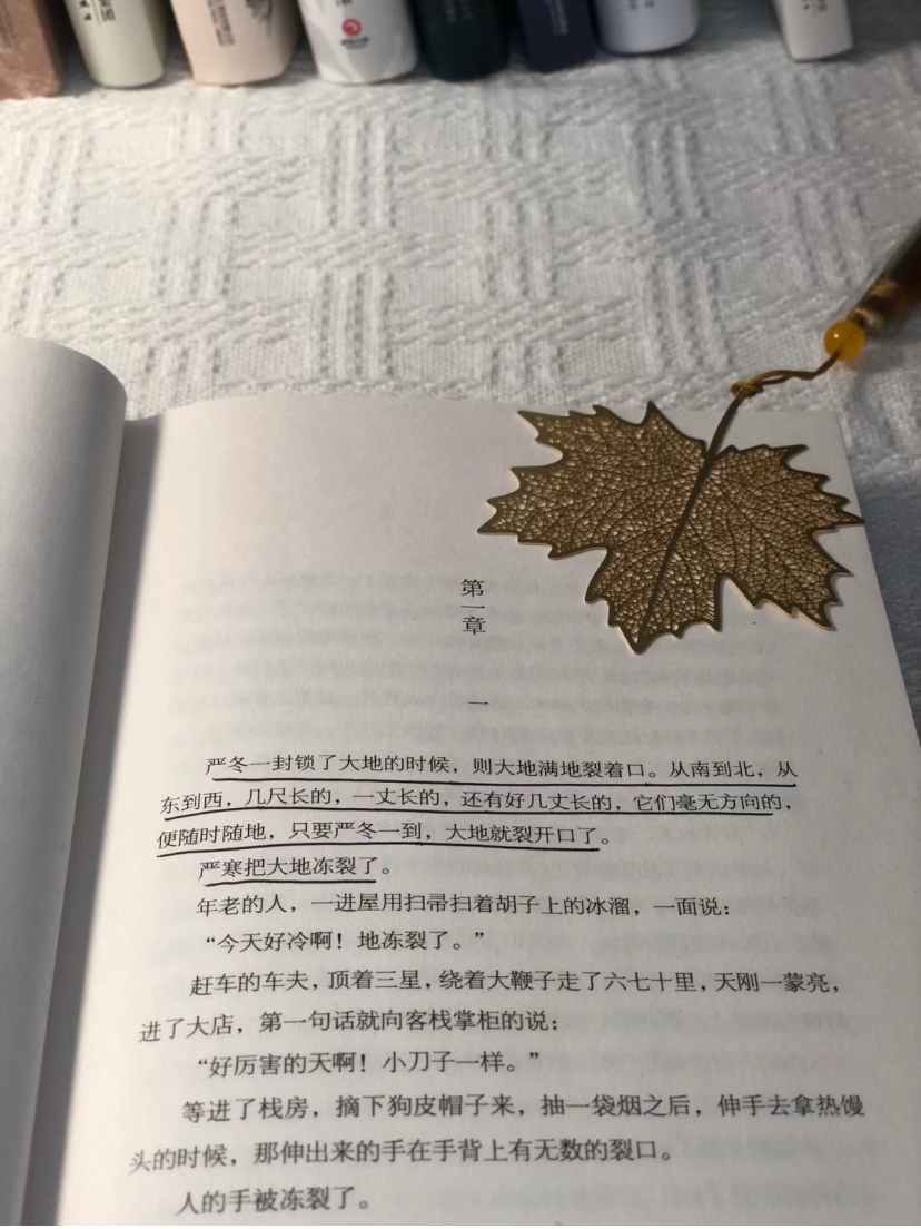 我终于知道鲁迅为什么要写狂人记,我终于知道鲁迅为什么写狂人日记