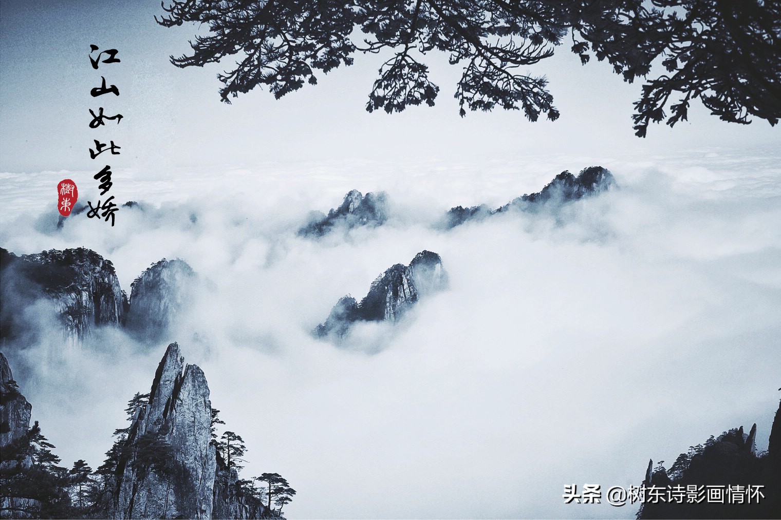 大雪压青松，青松挺且直，松在中华文化中象征着一种精神