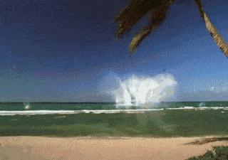 未来飞机空难自救措施,飞机空难逃生事项