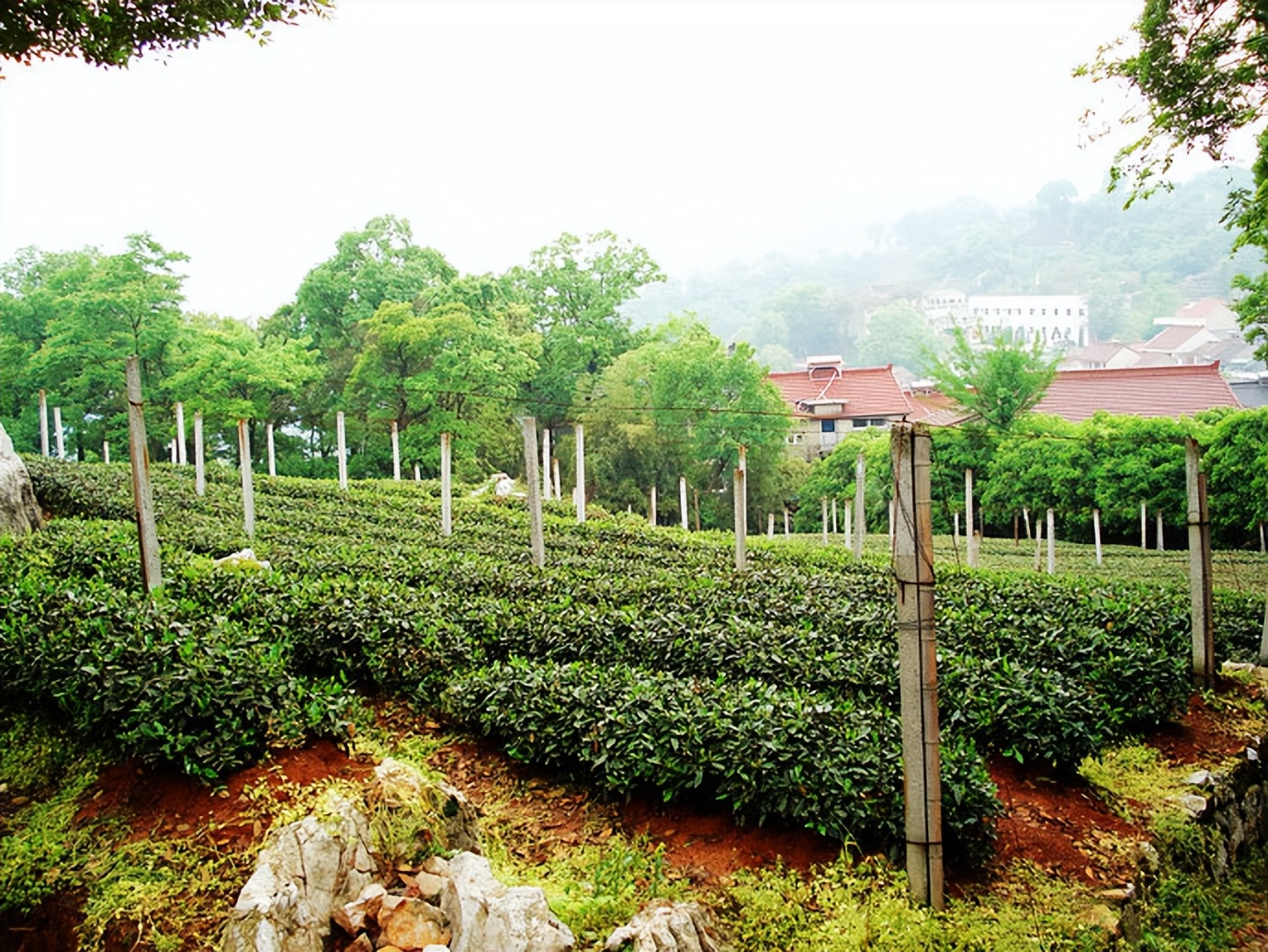 慢游放松体验,杭州慢时光游玩攻略